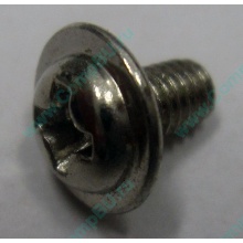 Компьютерный винт "малый" PW-M3x6mm (Орск)
