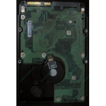 HP 454228-001 146Gb 15k SAS HDD (Орск)