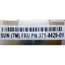 Серверная память SUN (FRU PN 371-4429-01) 4096Mb (4Gb) DDR3 ECC в Орске, память для сервера SUN FRU P/N 371-4429-01 (Орск)