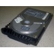 Жесткий диск 18.4Gb Quantum Atlas 10K III U160 SCSI (Орск)