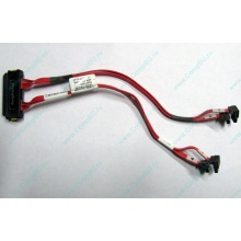 SATA-кабель для корзины HDD HP 451782-001 для корпуса HP 5U tower (Орск)