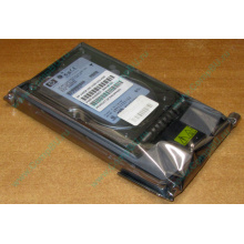 Жёсткий диск 146.8Gb HP 365695-008 404708-001 BD14689BB9 256716-B22 MAW3147NC 10000 rpm Ultra320 Wide SCSI купить в Орске, цена (Орск).