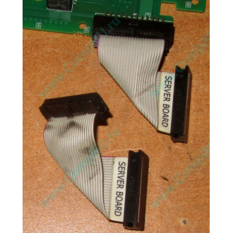 6017B0045701 Шлейф 24 pin для Intel C74974-401 T0043401-B01 корпуса SR2400 (Орск)
