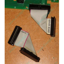 6017B0045701 Шлейф 24 pin для Intel C74974-401 T0043401-B01 корпуса SR2400 (Орск)