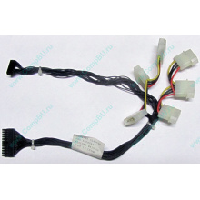Кабель IBM 59P4789 FRU 59P4792 для IBM X225 (Орск)